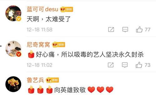 张子成最新视频,探索人生新境界