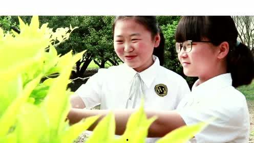 涡阳生活前沿视频大全,视频大全带你领略涡阳风土人情