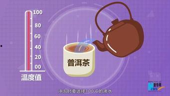 科普小视频推荐,跟随科普小视频踏上科学之旅