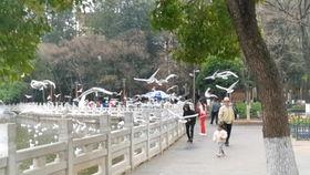 张娅闯关高清视频,挑战极限，展现非凡勇气