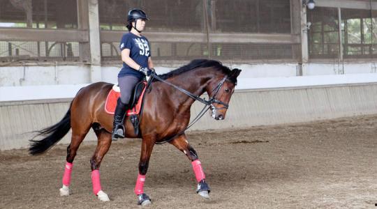 骑马压浪教学视频,骑马压浪教学视频精华解析