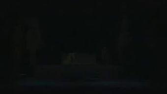 柳子戏视频大全,传承与创新的艺术之旅