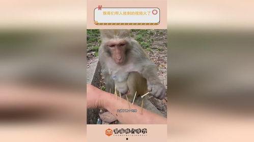 给人拔刺视频,视频教学助您轻松应对