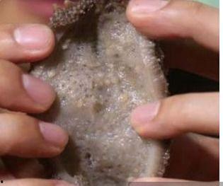 如何处理海参内脏视频