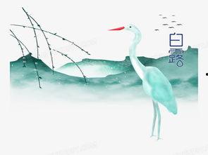 白露视频素材,感受大自然的诗意变迁