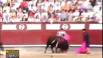 骑马斗牛视频,骑马斗牛惊心动魄瞬间回顾