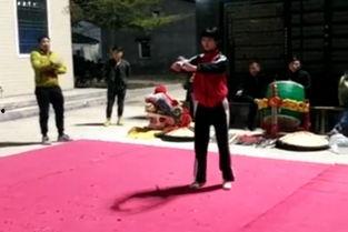 螳螂拳视频,一招一式间展现中华武术风采